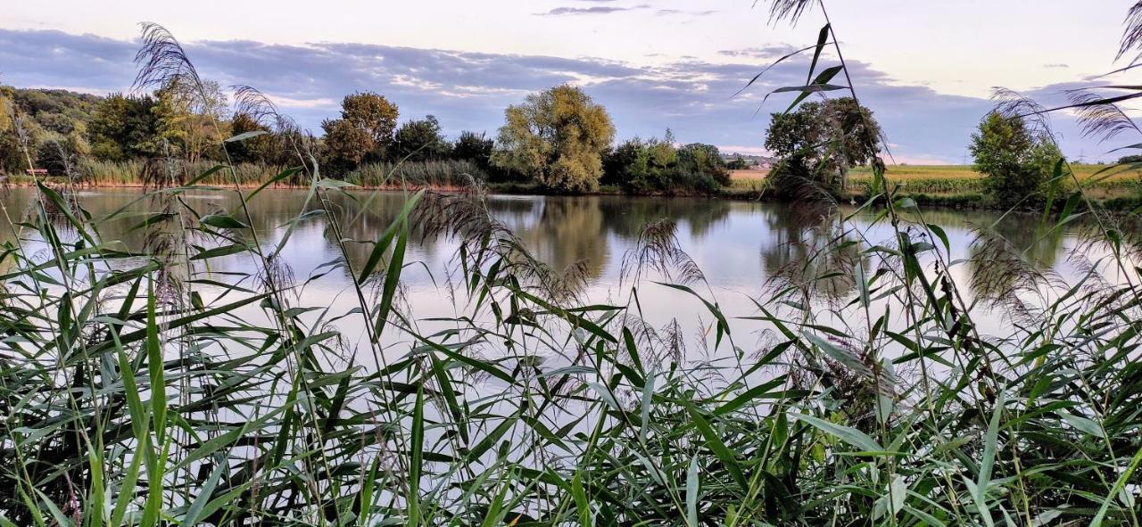 Ferienwohnung Kerstin Grambow Vaihingen an der Enz Dış mekan fotoğraf